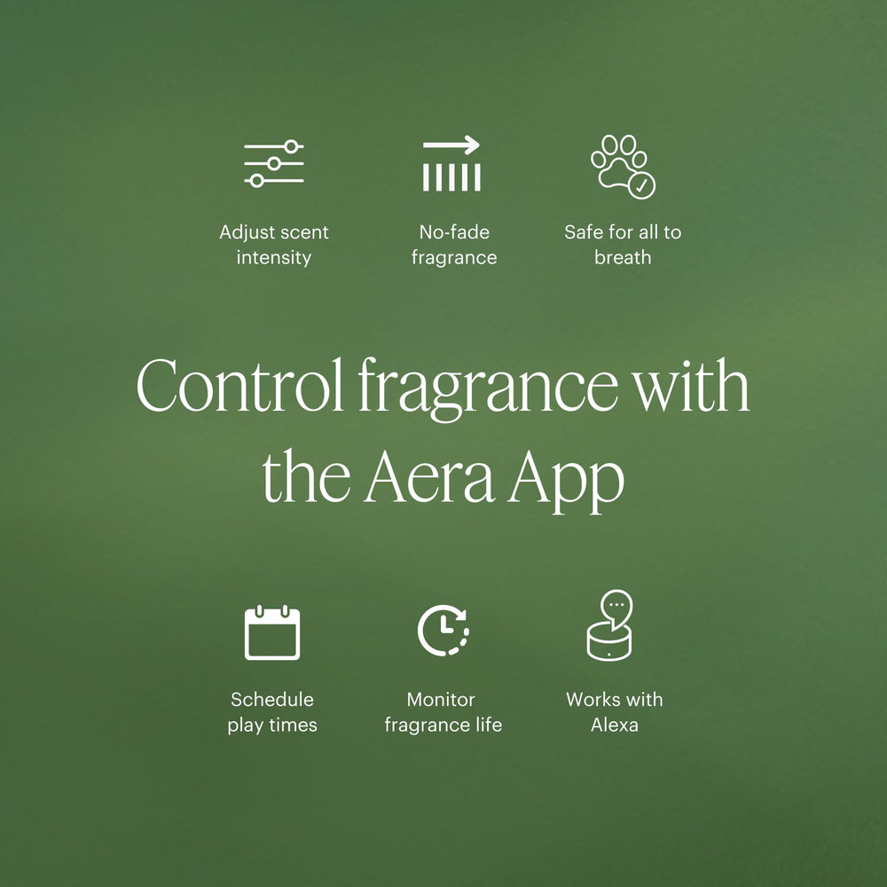 Aera Mini Wild Bluebells diffuser in room delivering soft florals and fresh air.