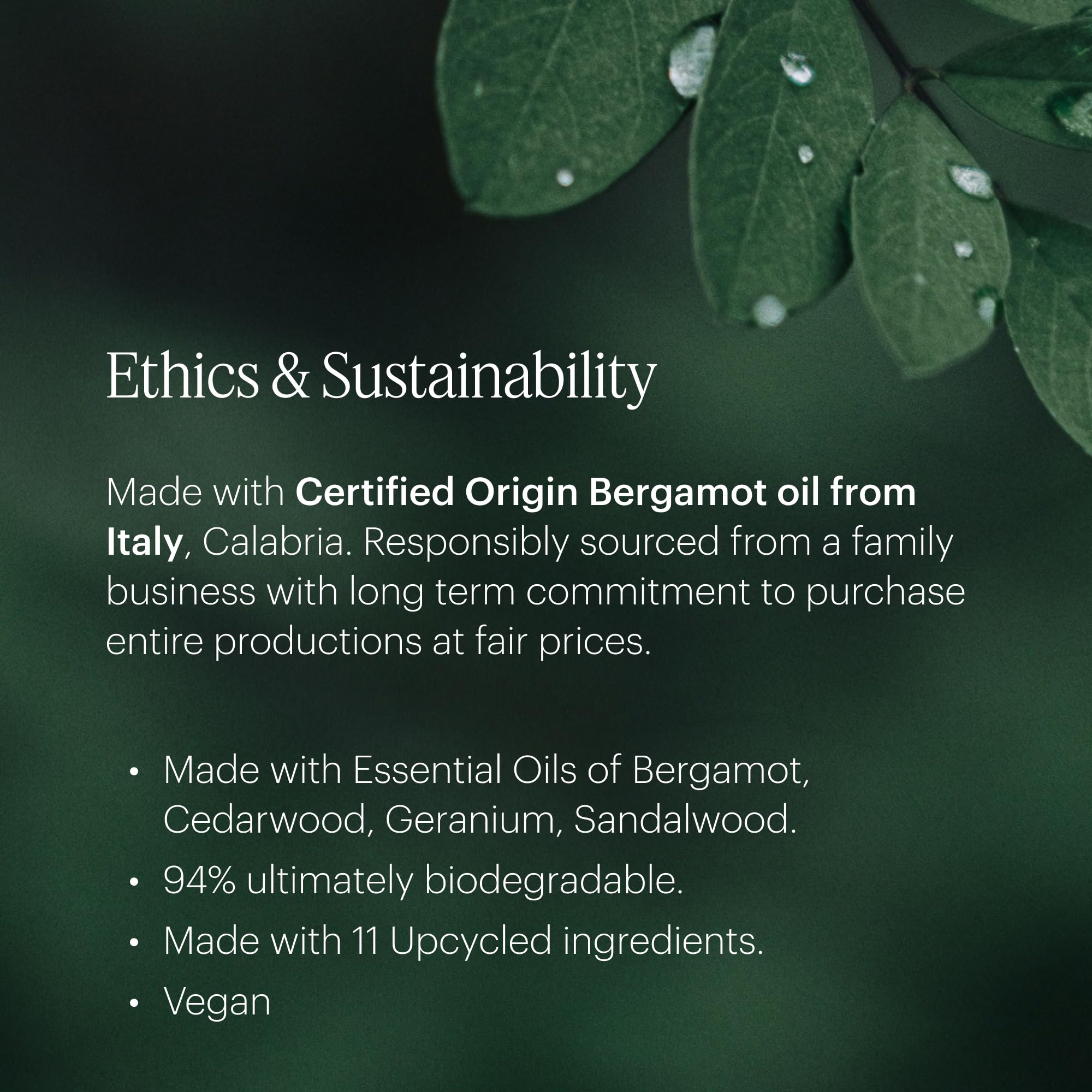 Aera Mini Wild Bluebells fragrance notes card highlights top/middle/base notes for a curated ritual.