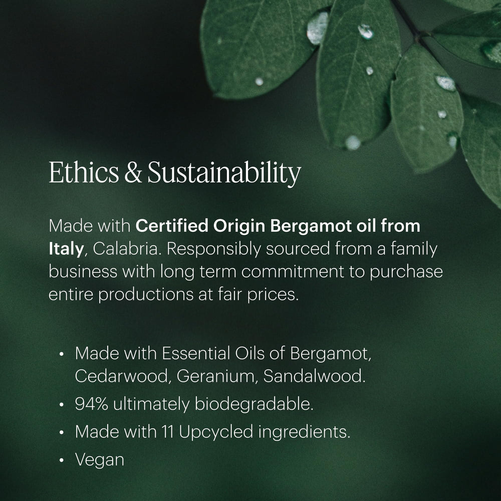 Aera Mini Wild Bluebells fragrance notes card highlights top/middle/base notes for a curated ritual.