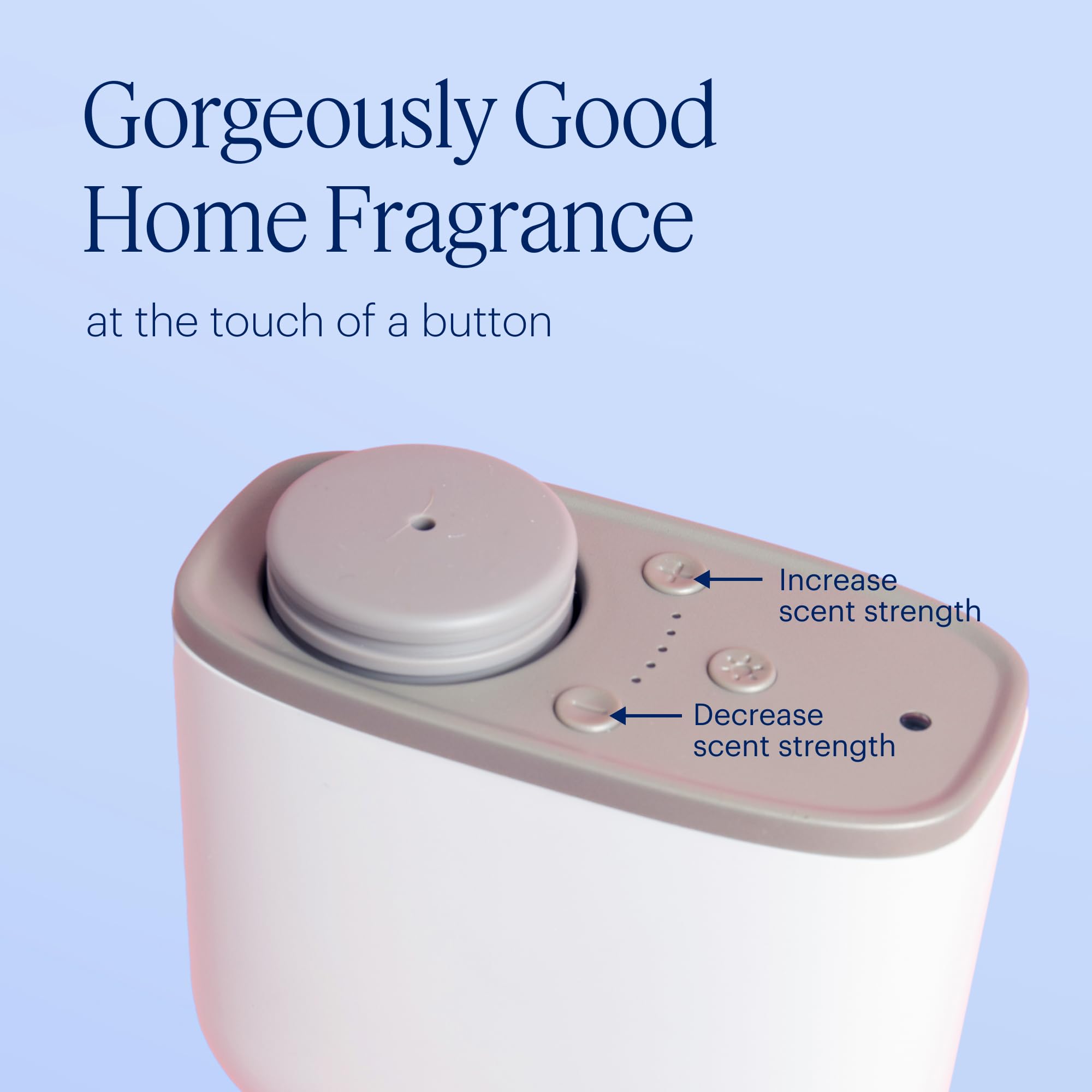 Aera Mini Wild Bluebells living room setup elevates small spaces with a gentle scent.