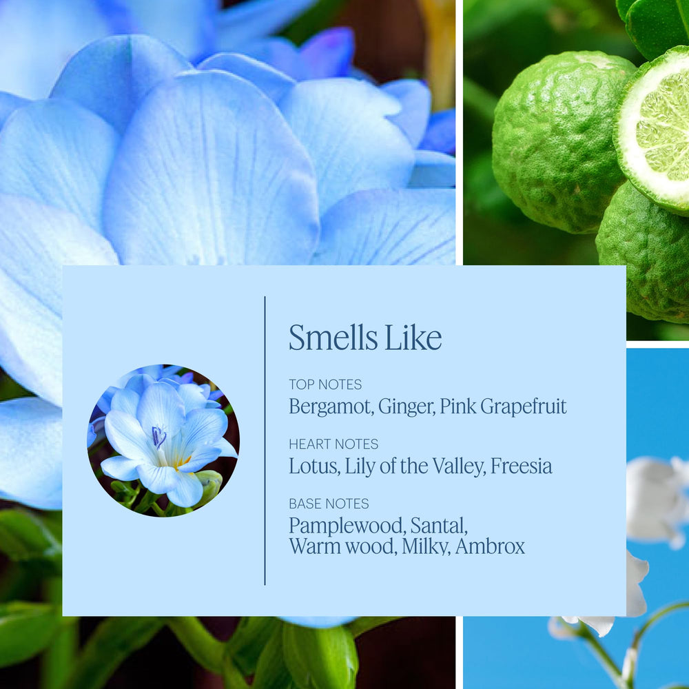 Aera Mini Wild Bluebells refill packaging keeps the diffuser stocked and waste-free.