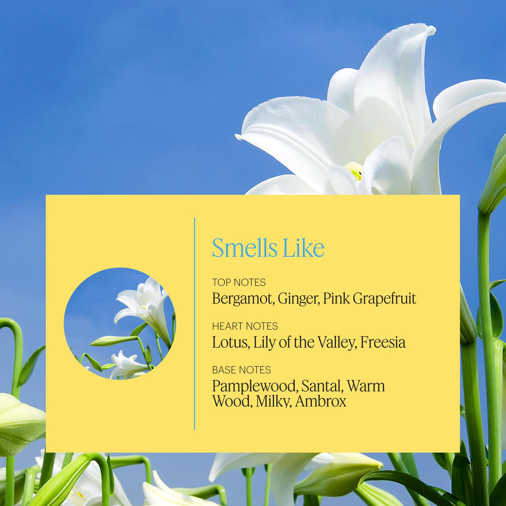 Close-up of AERA Mini Zephyr capsule label