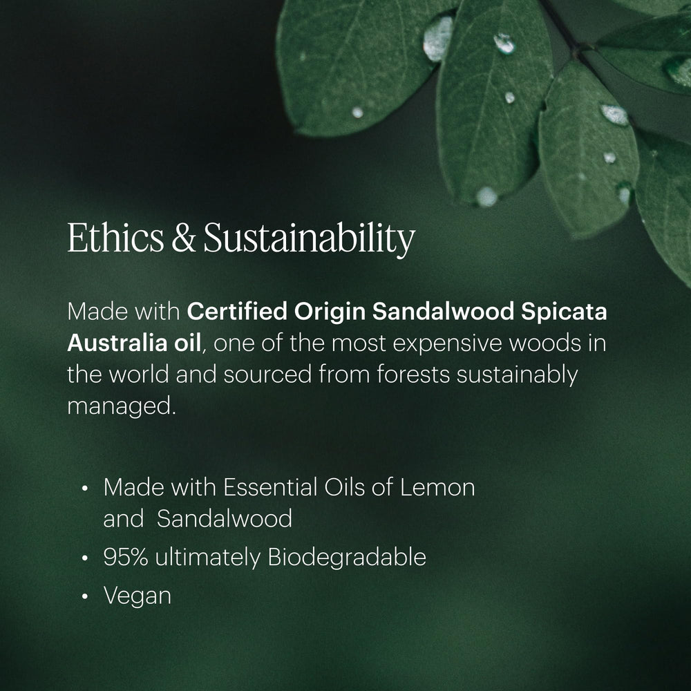 Lotus petals and sandalwood imagery for Zephyr