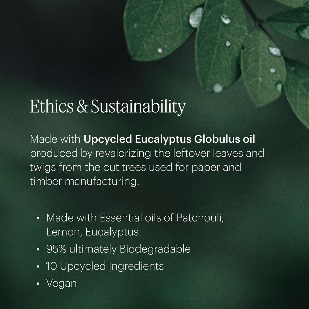 AERA Rainbow Mist room scene delivering a light, long-lasting citrus ambiance.