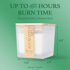 Aeviva eucalyptus mint candle lit with warm glow