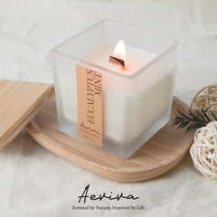 Top view of Aeviva eucalyptus mint candle in jar