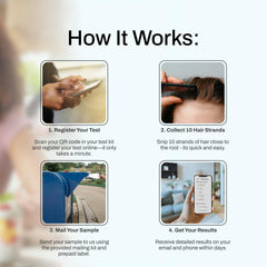 Gut health and digestive balance insights concept image