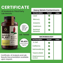 Capsules showing Costus Igneus supplement