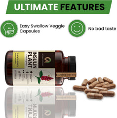 Ingredients and nutritional information for Afiyah Costus Igneus