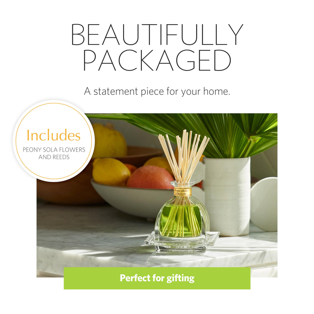 Close-up of three sola flowers in the AirEssence diffuser set
