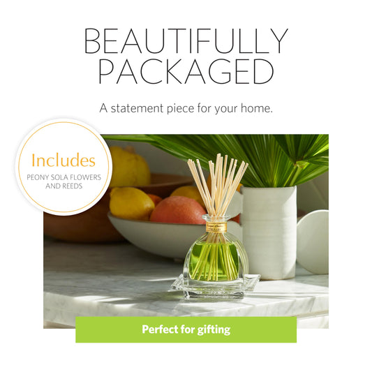 Close-up of three sola flowers in the AirEssence diffuser set