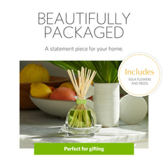 Handmade sola flower diffuser and perfume-grade oil bottle