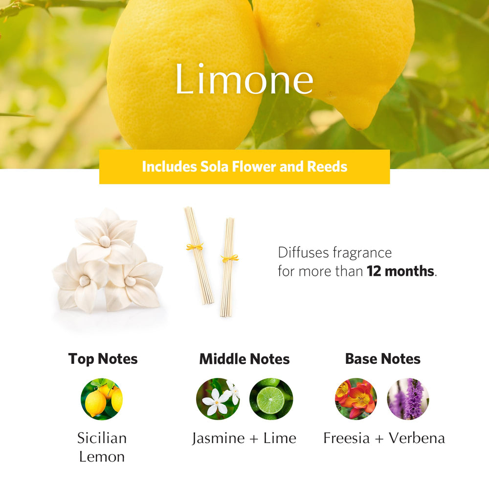 Dried sola flowers and natural diffuser design for home fragrance