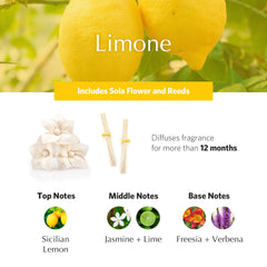 Dried sola flowers and natural diffuser design for home fragrance