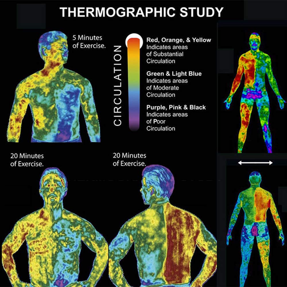 Illustration showing muscle definition and waist tightening concept
