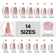 AILLSA RealFit color options collage with five nude shades