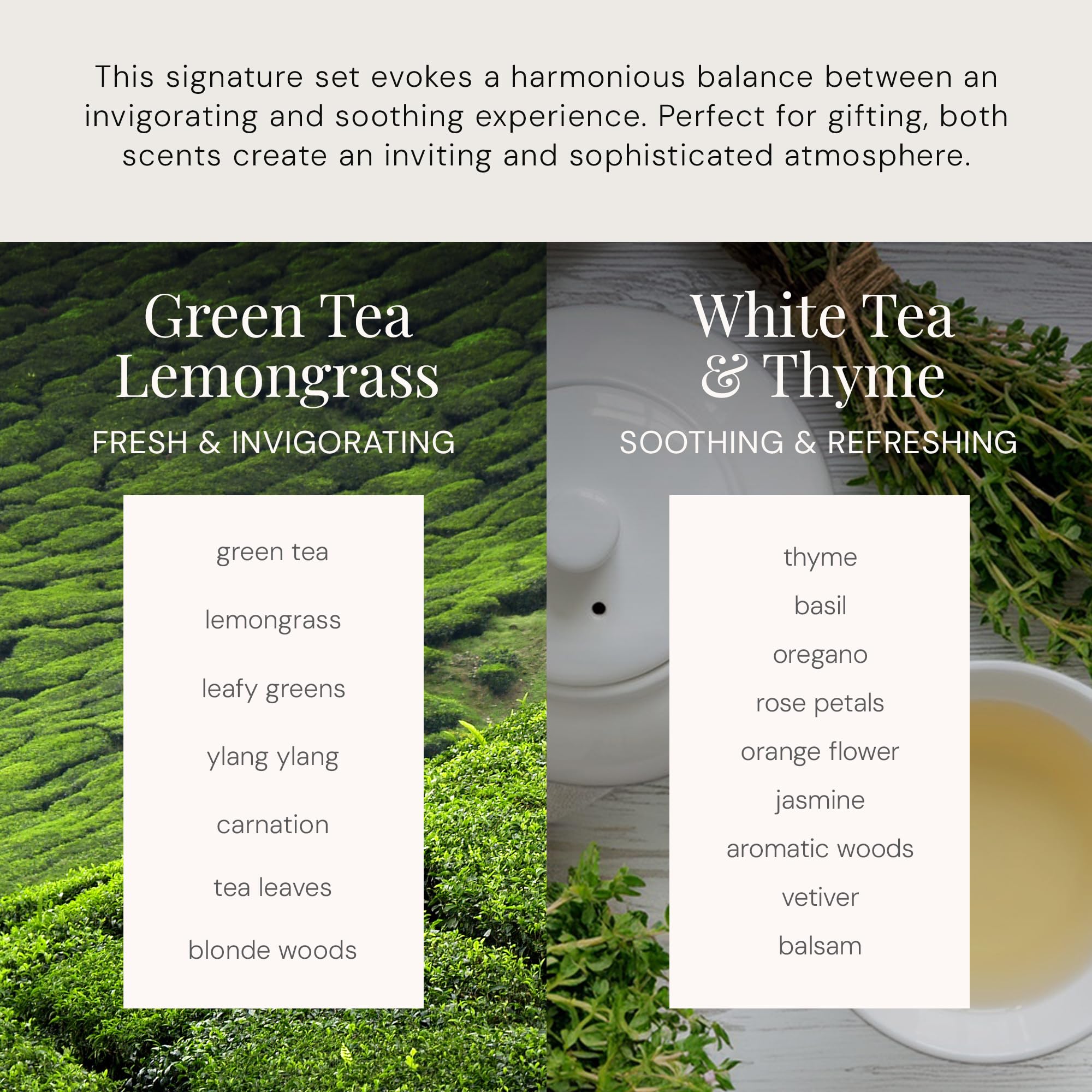 Green Tea Lemongrass aroma diffuser close-up