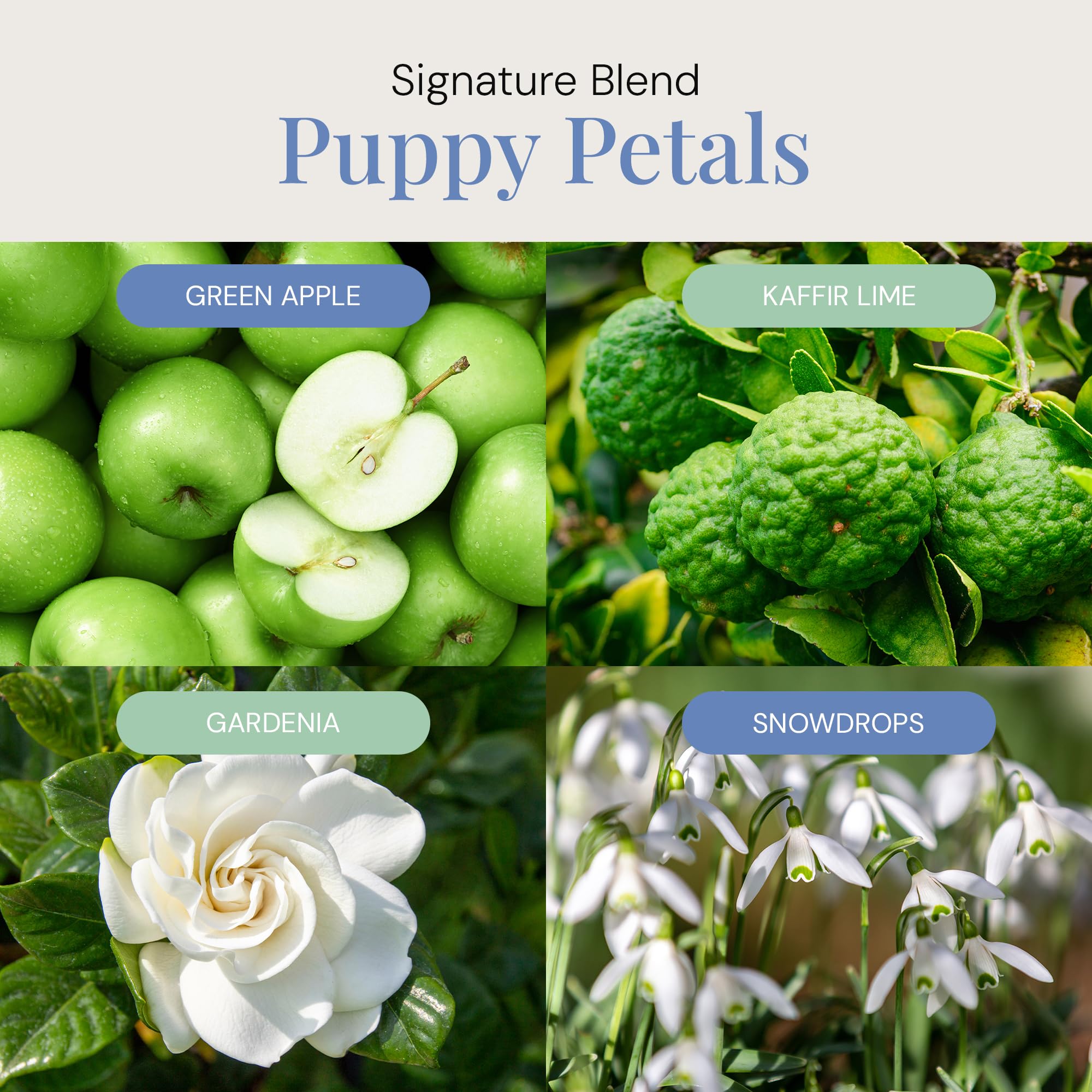 Air Esscentials Puppy Petals close-up shows green apple and kaffir lime notes.