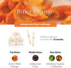 Close-up of sola flowers and diffuser oil in the AirEssence set