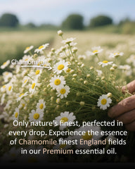 Airoomoil Chamomile essential oil label with ingredients