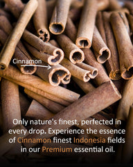 Living room diffuser using Airoomoil Cinnamon Essential Oil