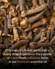 Clove essential oil used for massage and wellness