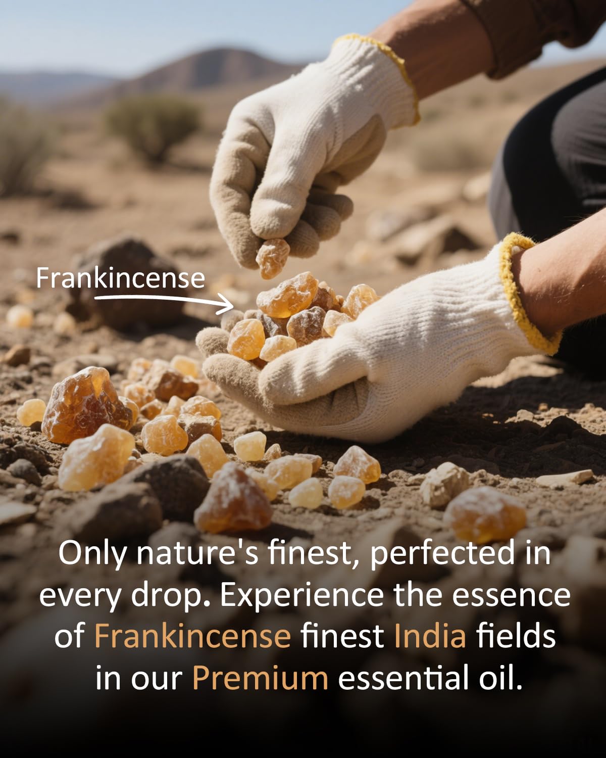 Frankincense essential oil used in a diffuser