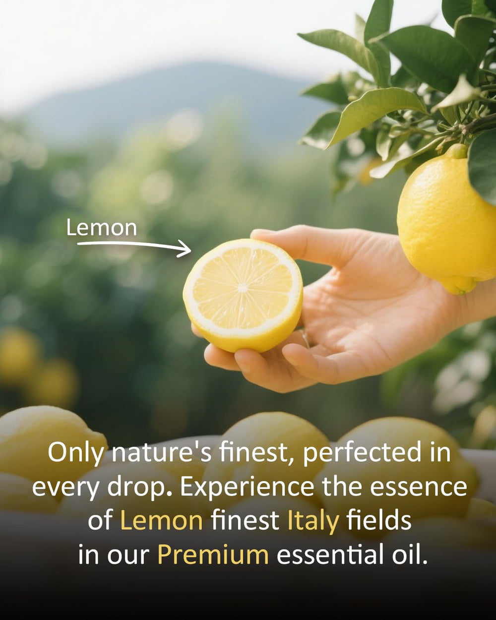 Lemon essential oil room spray idea for home