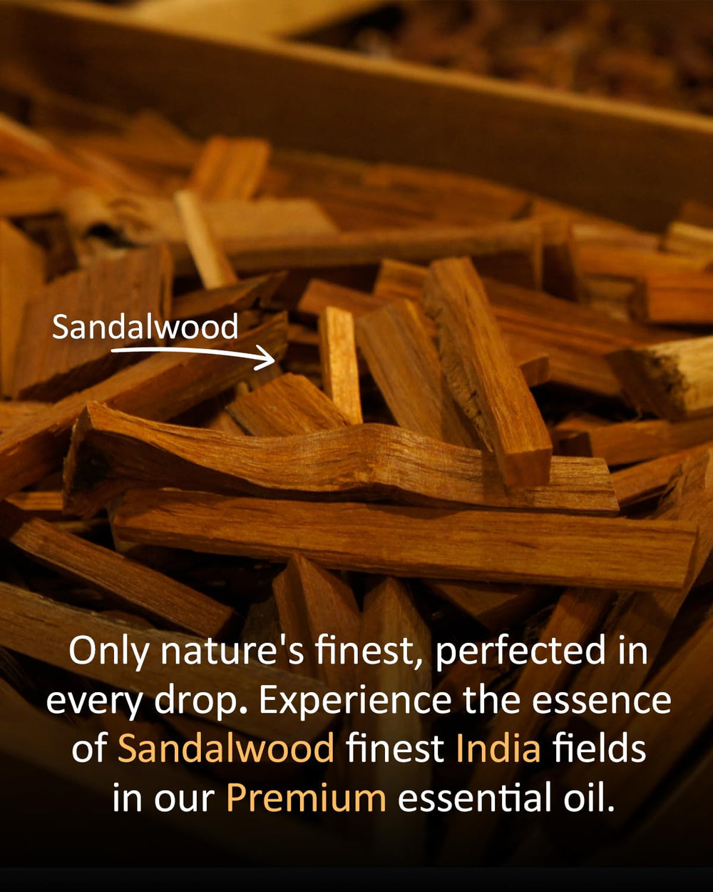 Sandalwood essential oil used in skincare and massage blends