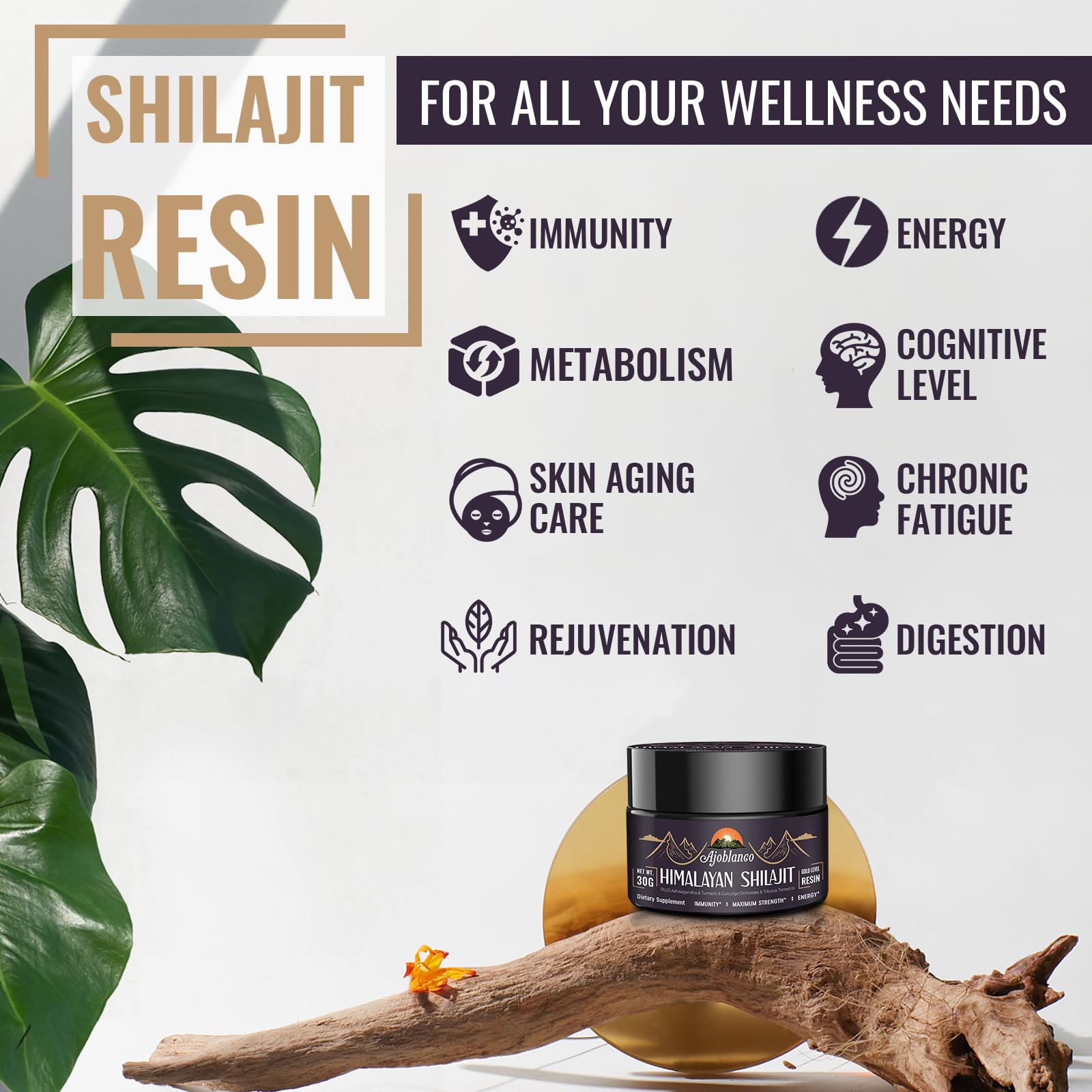 Shilajit resin prepared in warm water for consumption