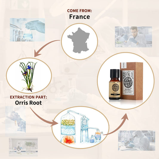 Orris root oil extraction in France