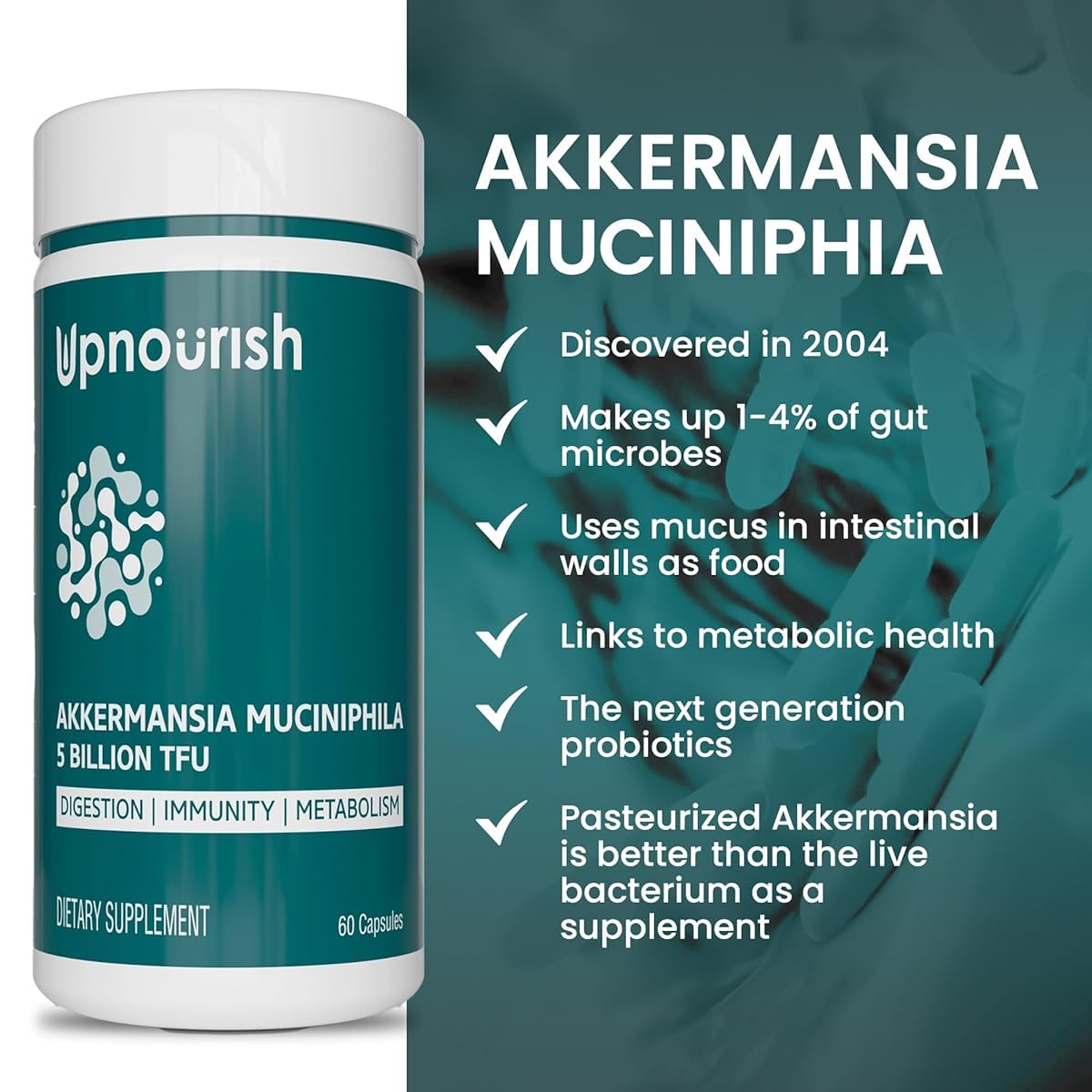 Akkermansia muciniphila illustration representing gut bacteria