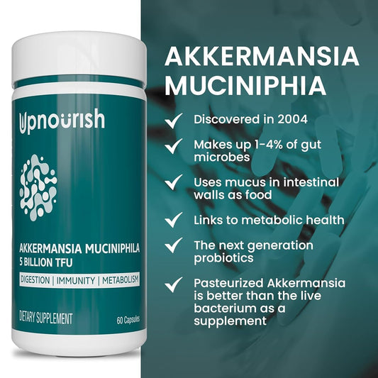 Akkermansia muciniphila illustration representing gut bacteria