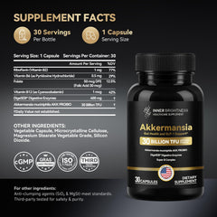 Vitamin B complex supplement with probiotic