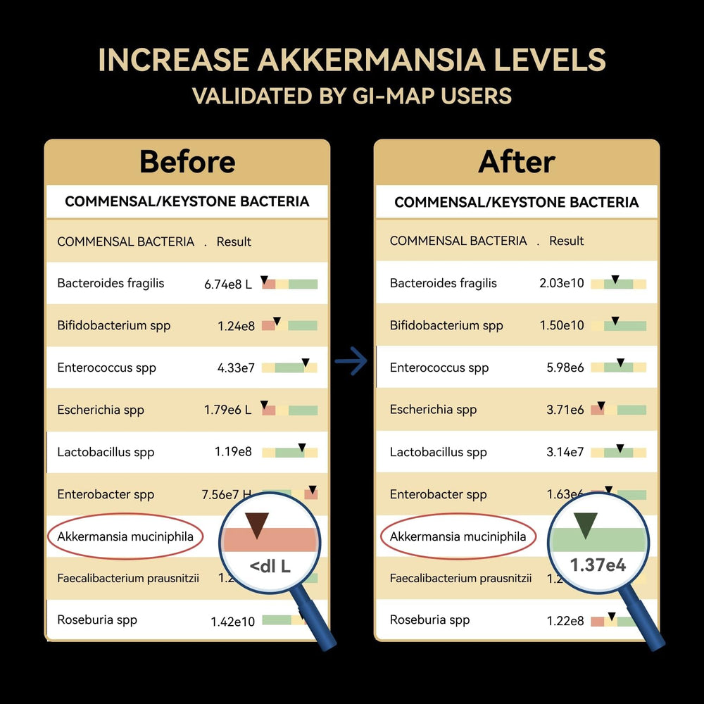 1-month supply box of Akkermansia Probiotic
