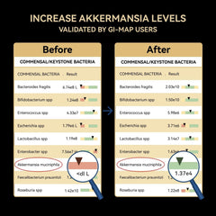 1-month supply box of Akkermansia Probiotic