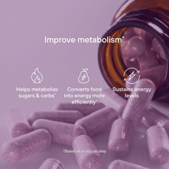Akkermansia muciniphila and butyrate-producing probiotic strains