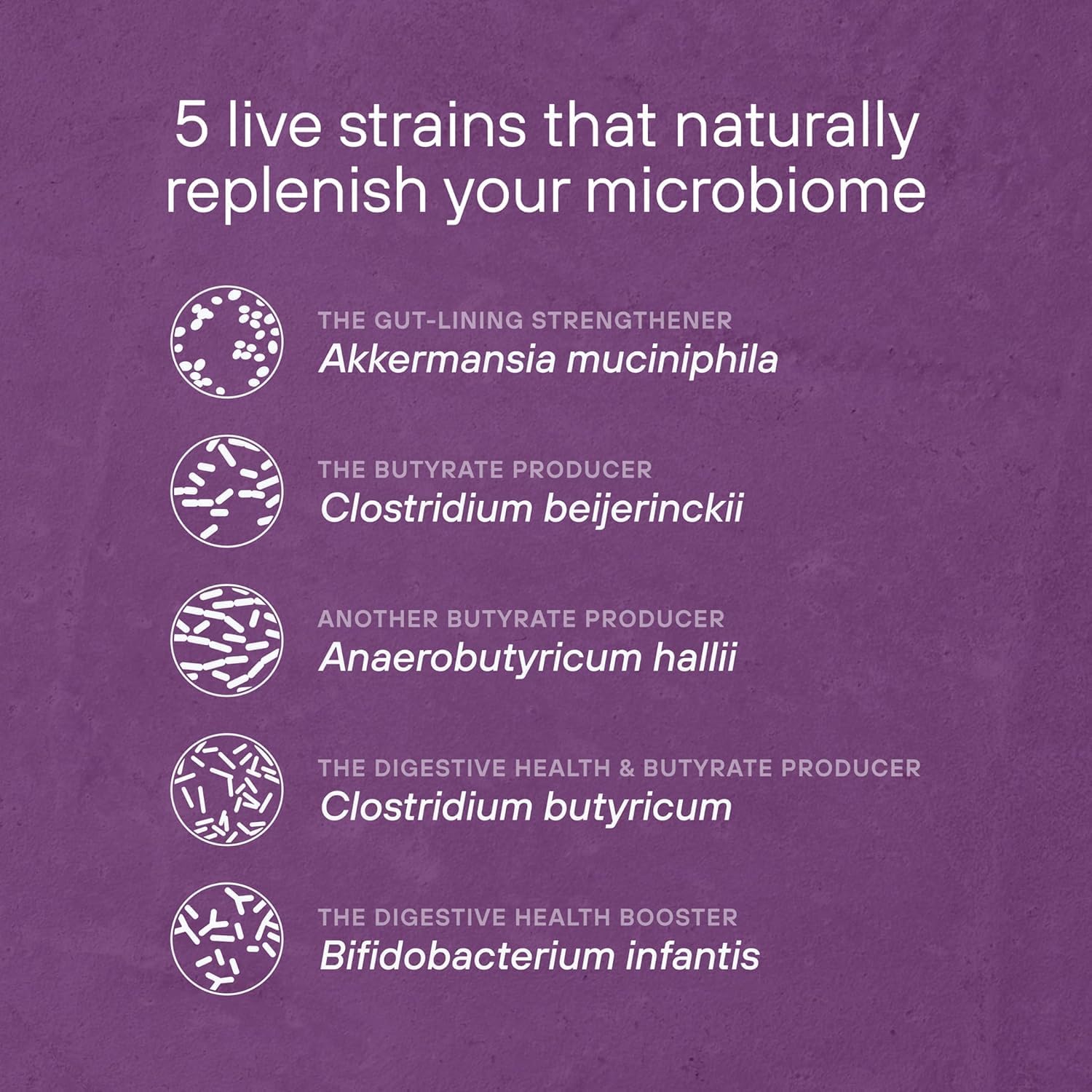 Digestive health and metabolic function synergy