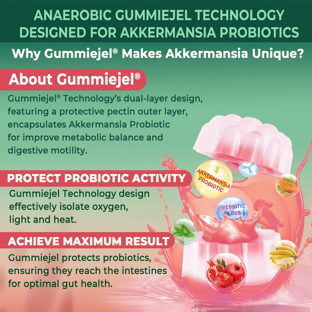 Front view of the 1Pack Akkermansia Probiotics Gummies