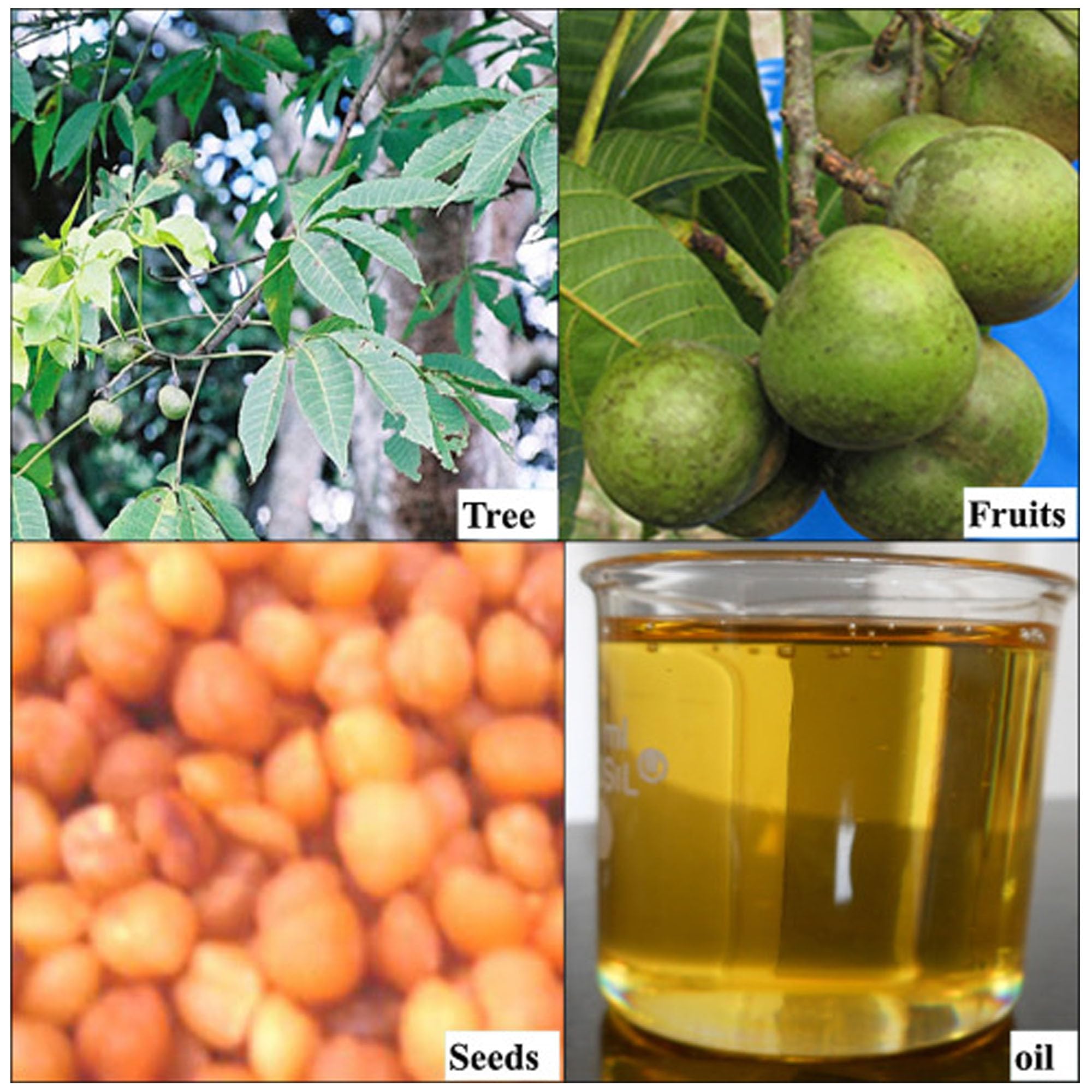 Person activating glutes and hips during a workout with oil