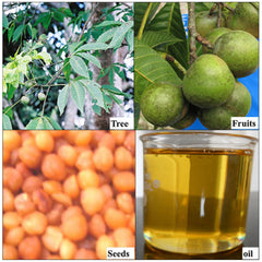 Person activating glutes and hips during a workout with oil