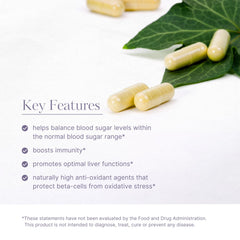 Illustration of Gymnema and Bitter Melon ingredients