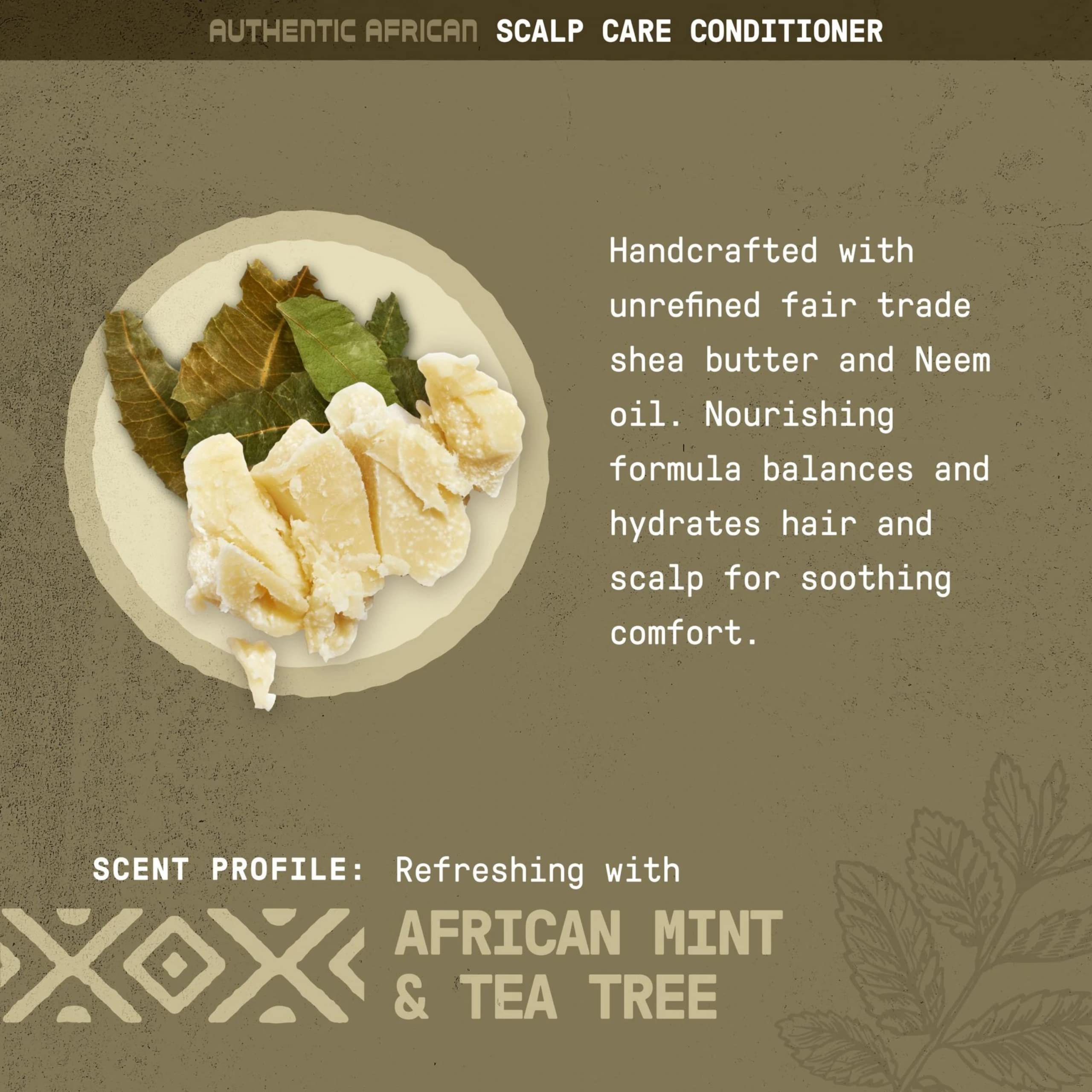 Alaffia tea tree and mint leaves close-up suggesting refreshing aroma