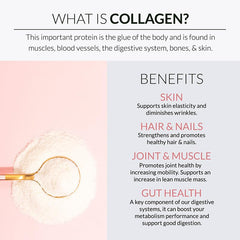 Unflavored collagen powder being scooped