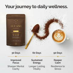 Lion's Mane and Reishi mushrooms in blend