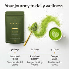 Ingredients: matcha, Lion's Mane, Reishi and Cordyceps