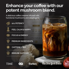 Close-up of 10X concentrated mushroom powder