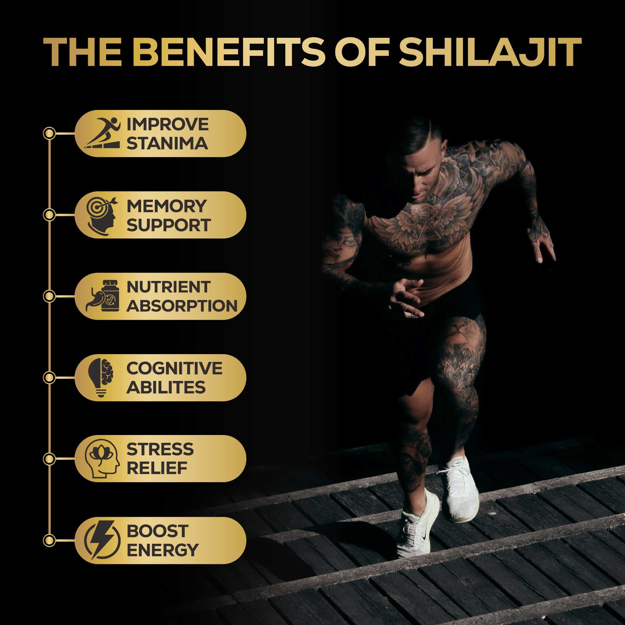 Graphic showing 85+ trace minerals in shilajit