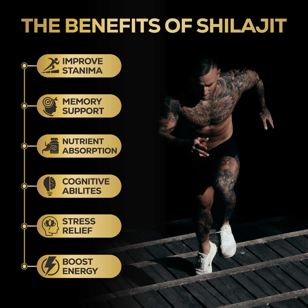 Graphic showing 85+ trace minerals in shilajit