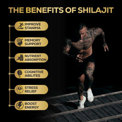 Graphic showing 85+ trace minerals in shilajit